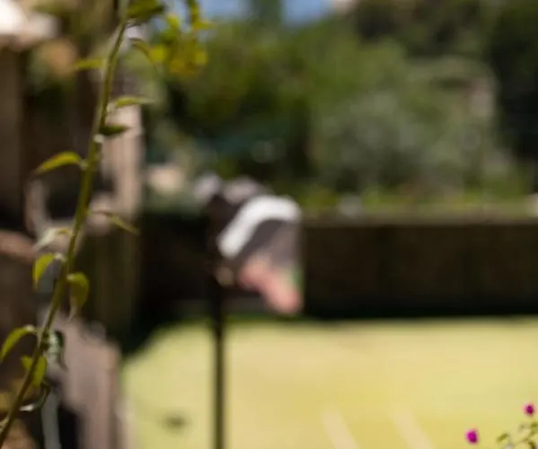 Oda ve Kahvaltı Dormidame' 3*