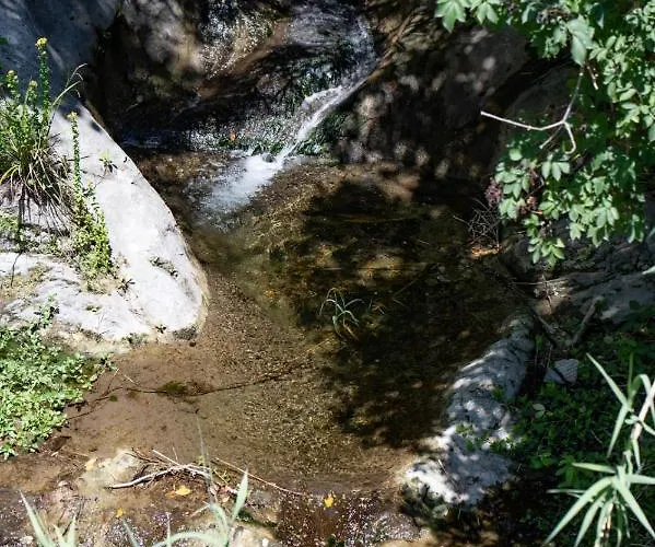 Dormidame' Oda ve Kahvaltı Positano