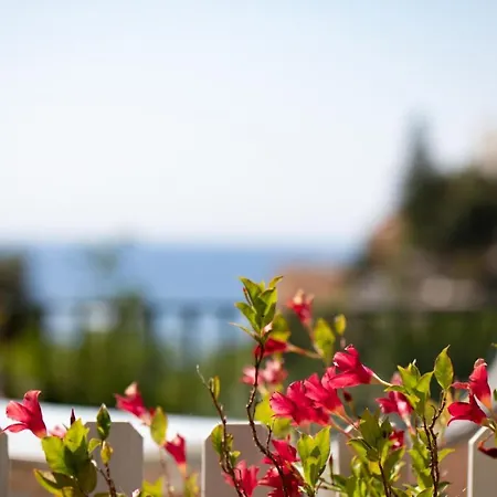 Dormidame Bed & Breakfast